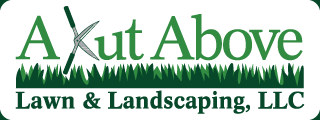 A Kut Above
